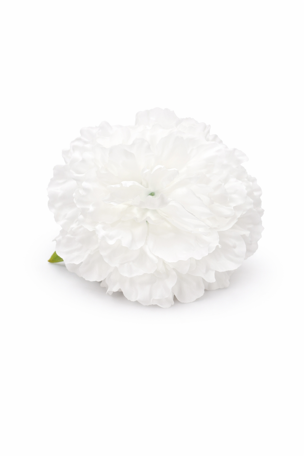 Flor blanca
