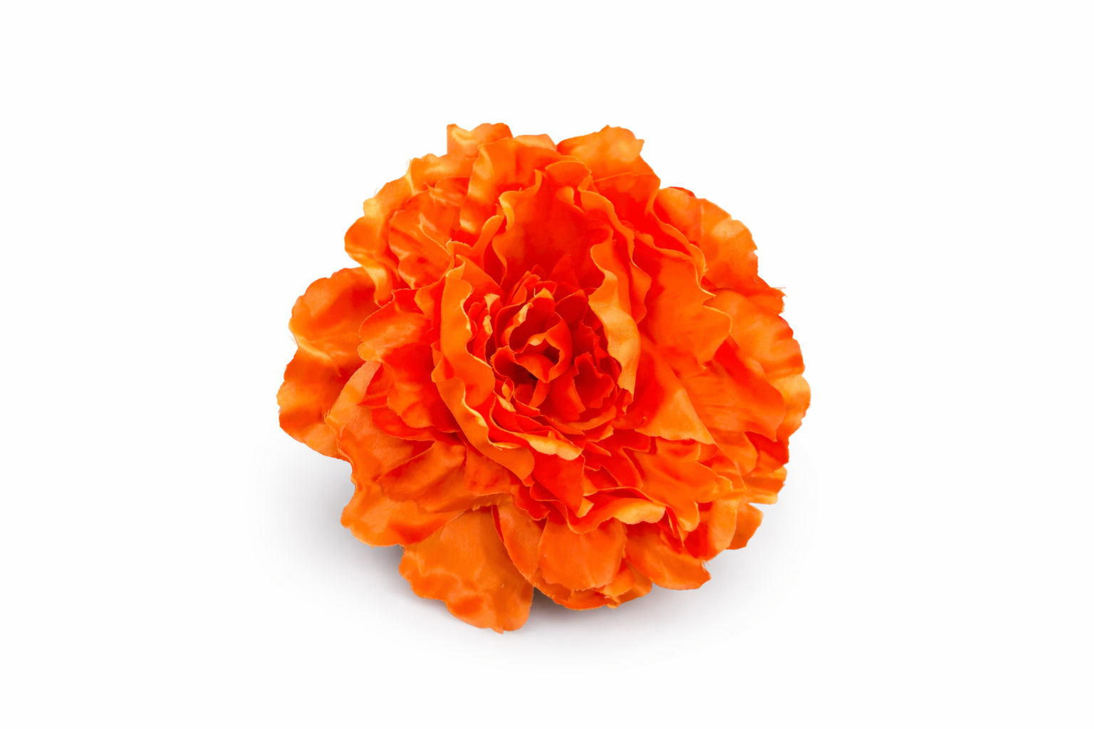 Flor Naranja